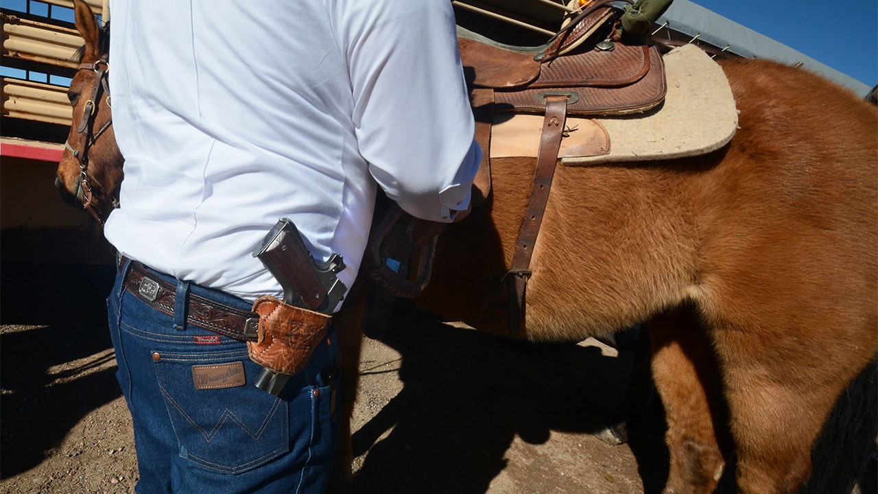 Texas withdraws appeal to court order blocking gun law that banned adults under 21 from carrying firearms