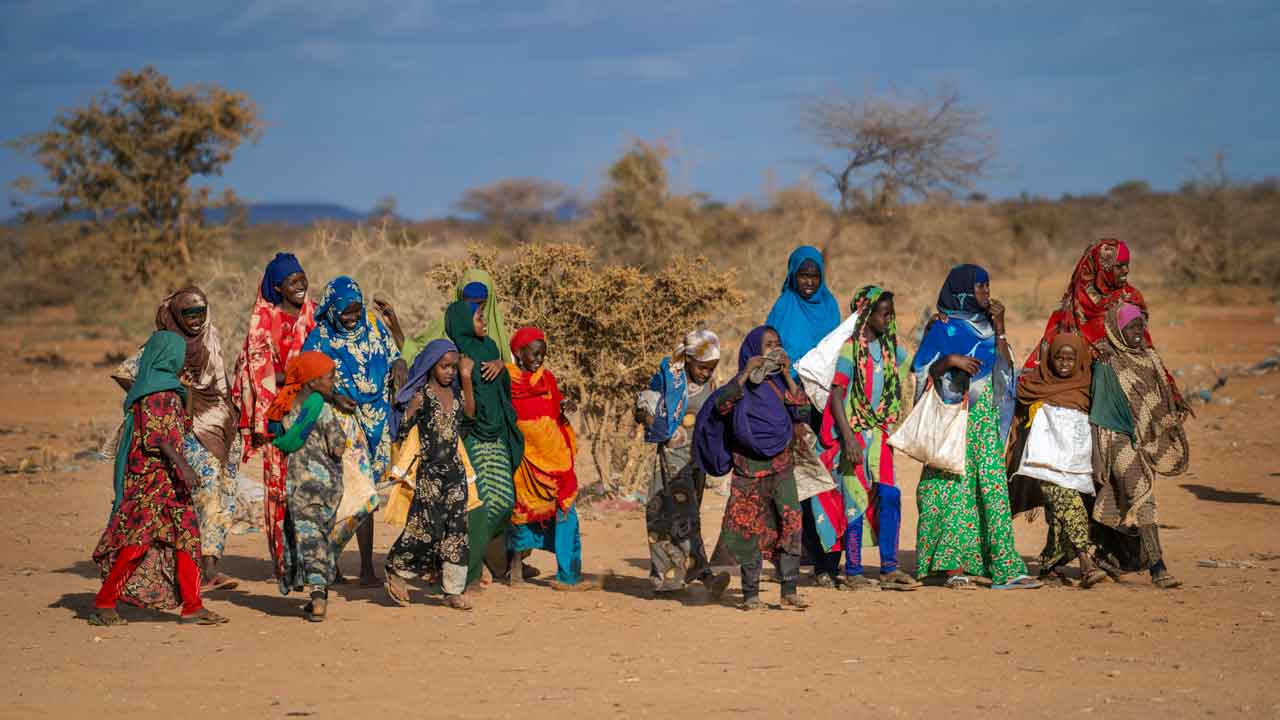 Somalia expecting famine in several parts of the country in the coming months