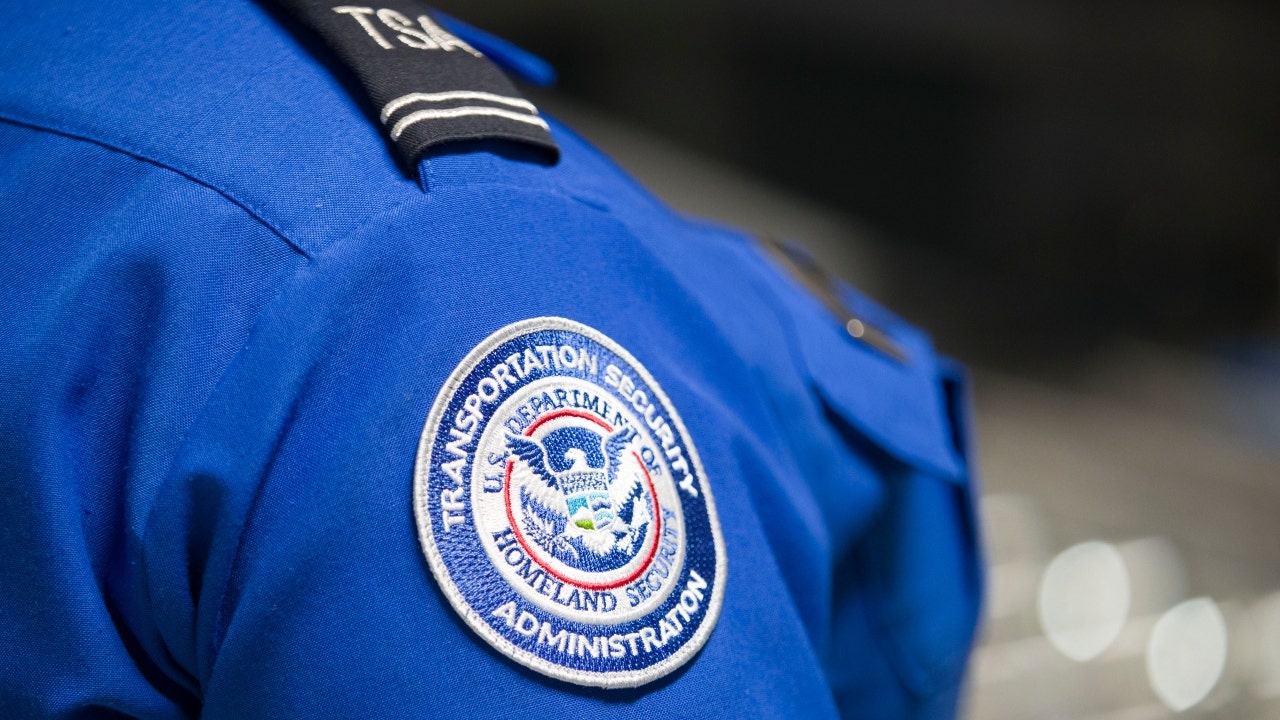 More than 3K guns intercepted at airport security checkpoints so far in 2024: TSA