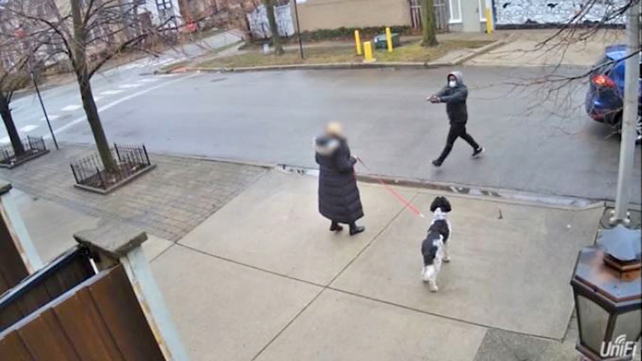 News :Brazen daylight robbery of elderly Chicago woman at gunpoint caught on camera