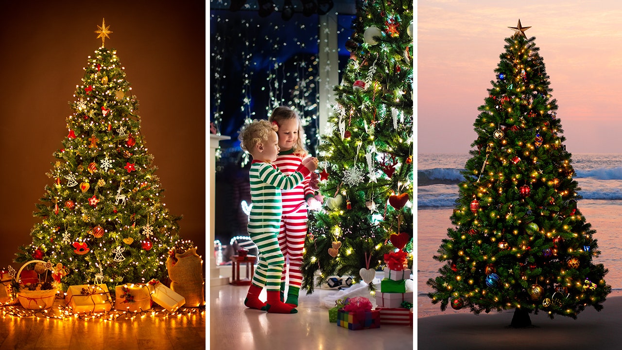 Christmas tree quiz! See how well you know these famous Christmas trees and more