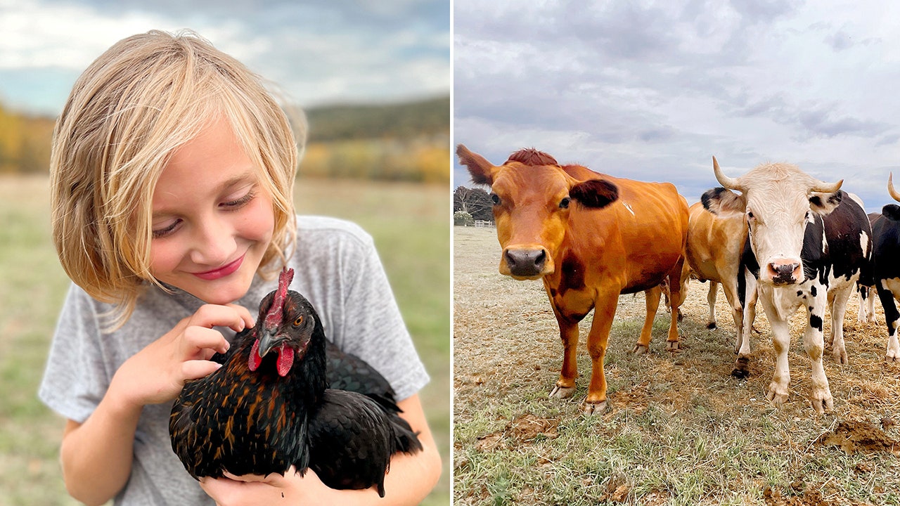 Pennsylvania woman quits her career as make-up artist, opens farm animal rescue sanctuary