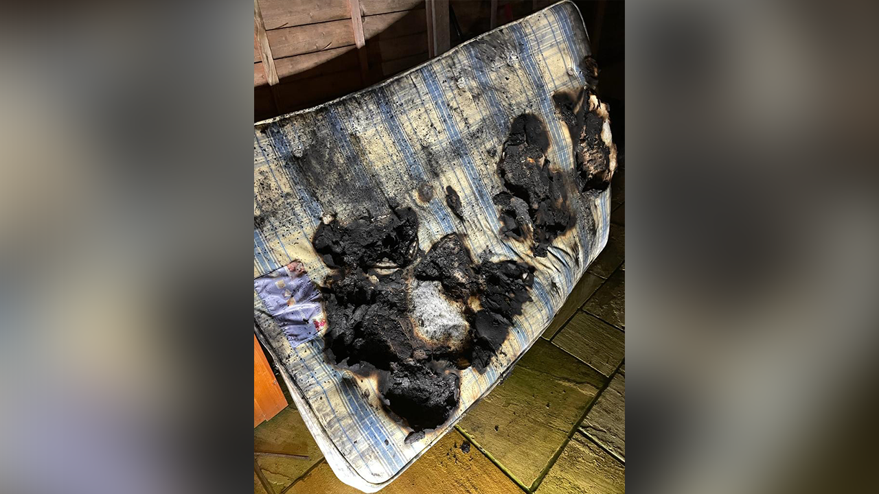 housefire Dog in England sets house on fire after turning on hairdryer