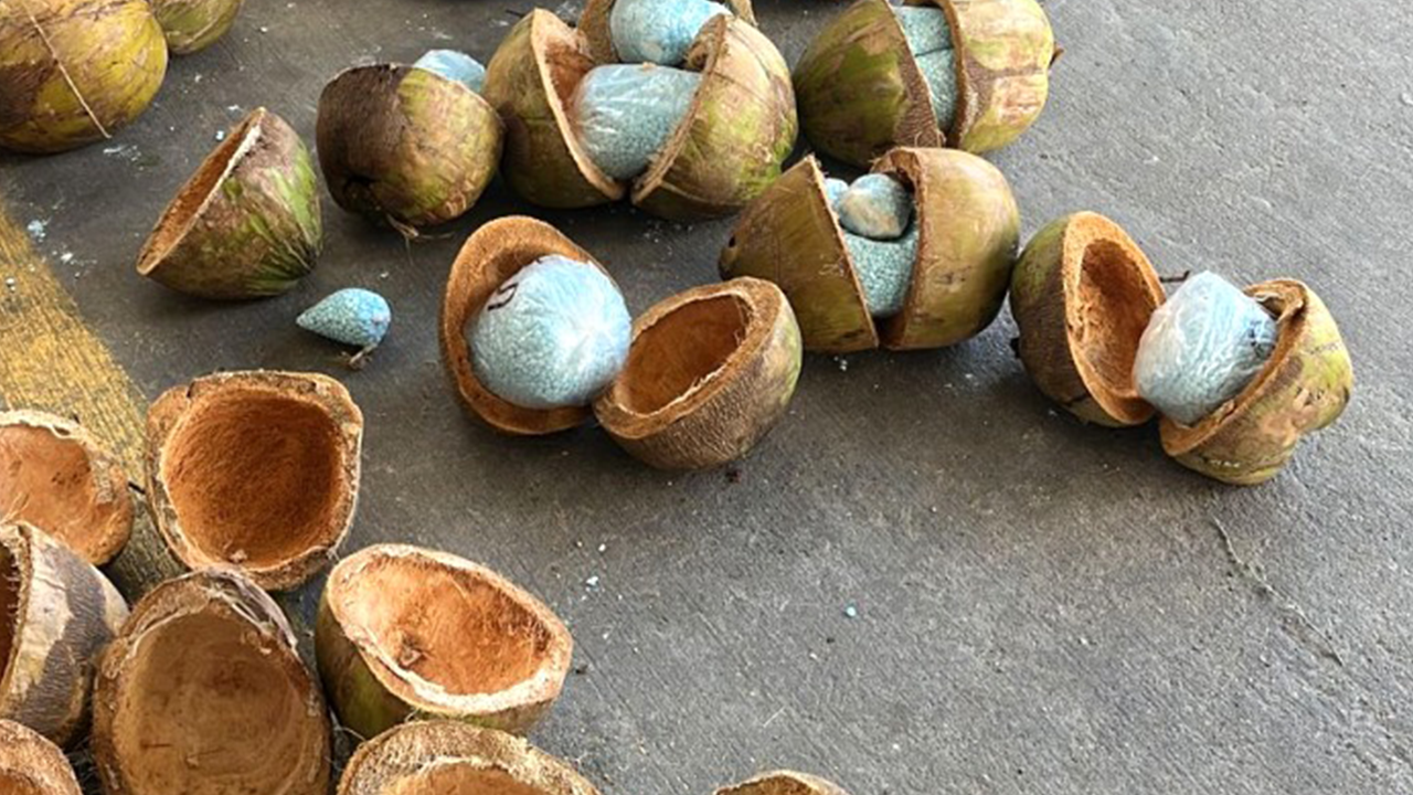Mexican police seize over 600 kilos of fentanyl stuffed coconuts from truck close to border