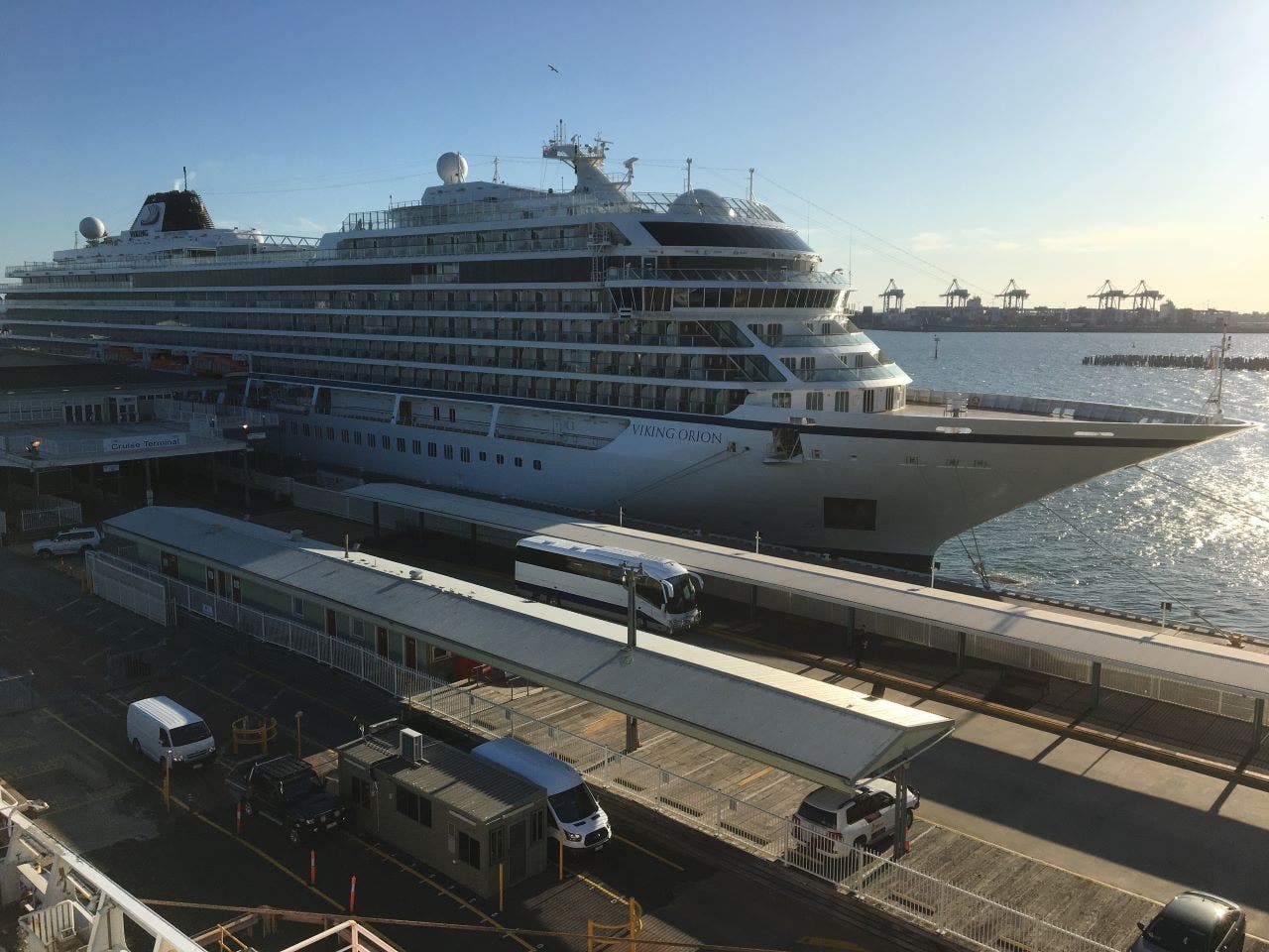 cruise ship fungus on hull