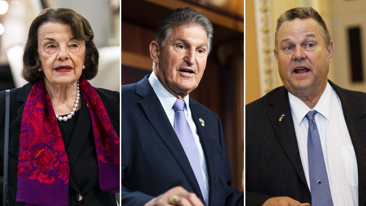 Who's next? Six Democratic senators who may retire ahead of a potentially brutal 2024 election