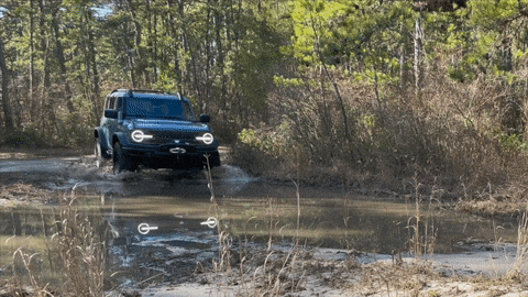 Review: The 2023 Ford Bronco Everglades is a water horse
