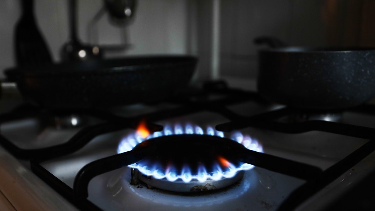 Dark money group pushing gas stove crackdown has significant financial stake in green energy