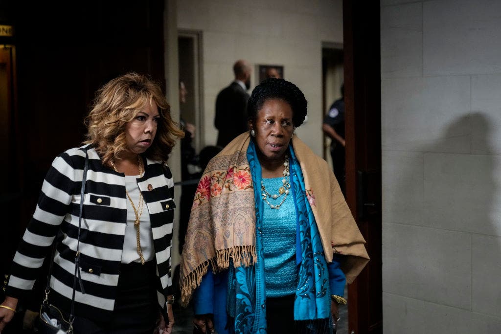 Rep. Sheila Jackson Lee introduces bill criminalizing some forms of 'hate speech'