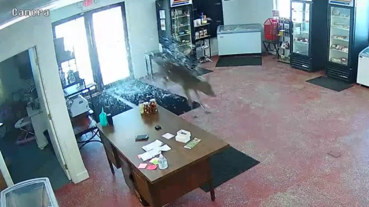 News :Deer smashes through doors of Minnesota butcher shop