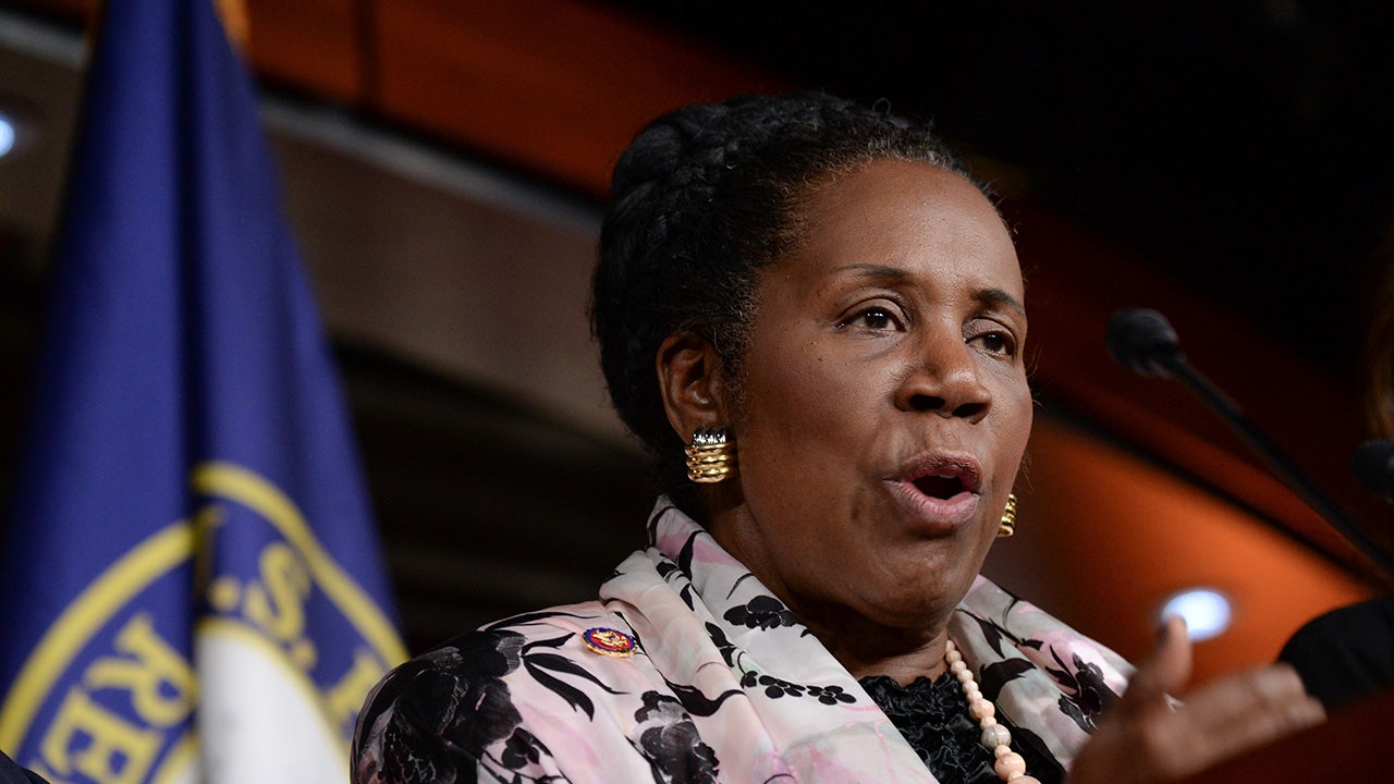 Read more about the article Rep. Sheila Jackson Lee says she has been diagnosed with pancreatic cancer
