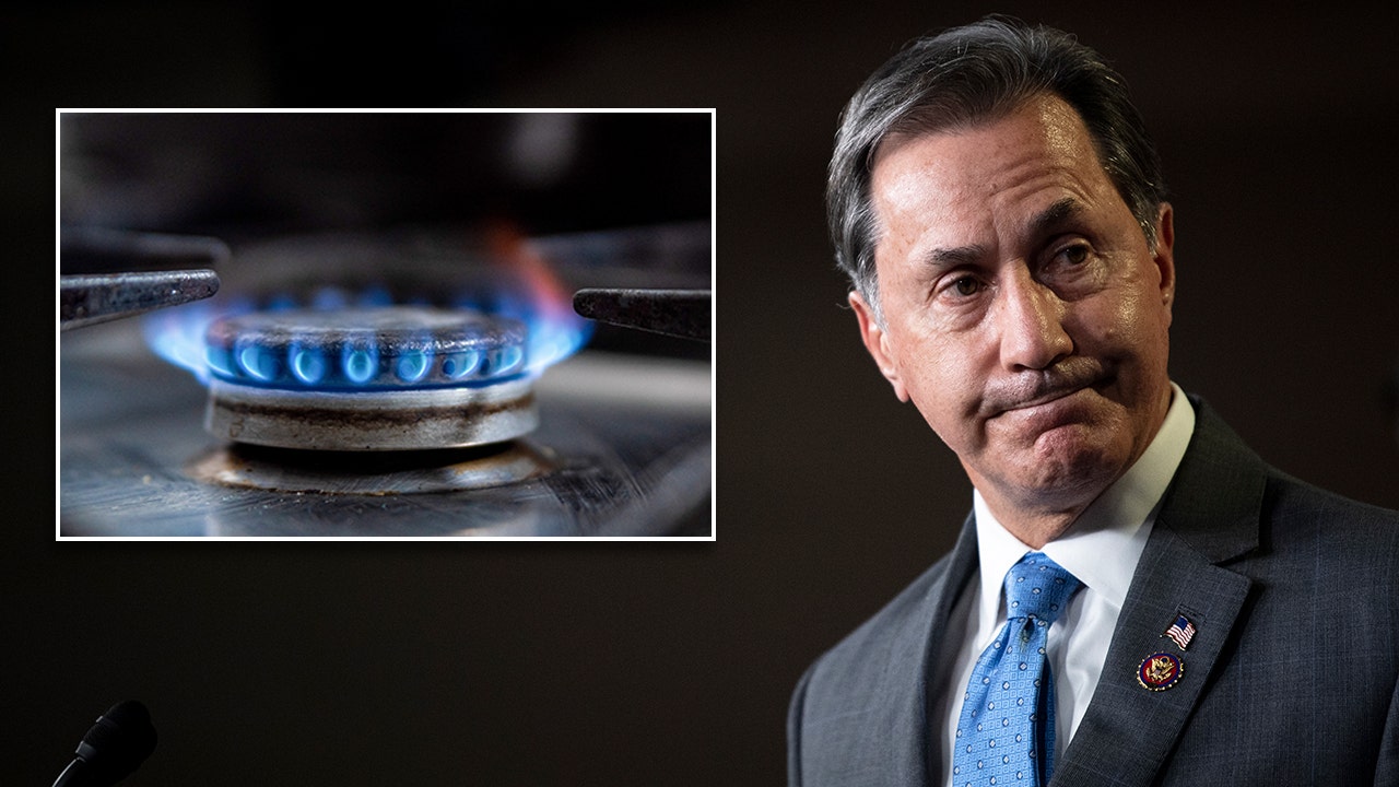 Biden admin torched by Rep. Gary Palmer over potential gas stove ban: 'Desire to control American's lives'