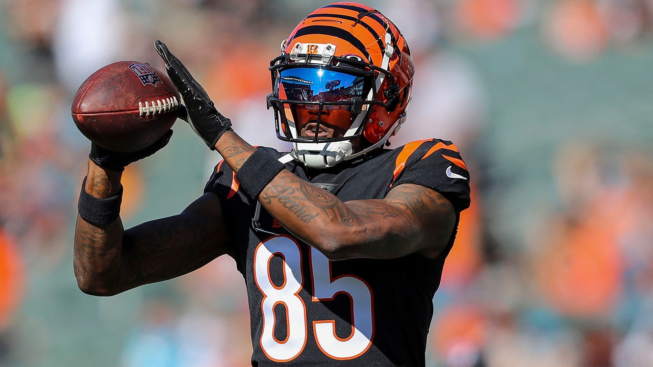 Bengals exec, coach shut down Tee Higgins trade speculation: 'Find your  own' wide receiver | Fox News