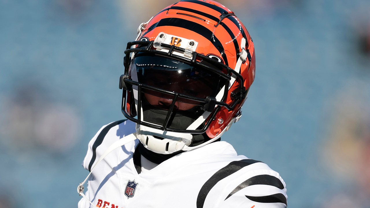 Bengals' Tee Higgins' family slams suggestion wide receiver was at fault  for Damar Hamlin situation