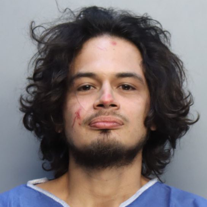 Florida man bites off pet python snake's head in domestic dispute: police