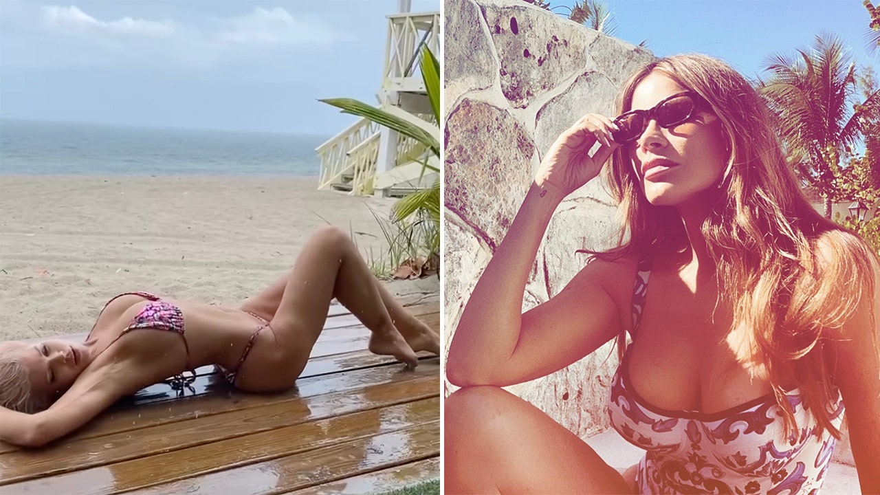 Donna DErrico, Sofía Vergara and more celebrities heat up winter in sizzling bikinis Fox News