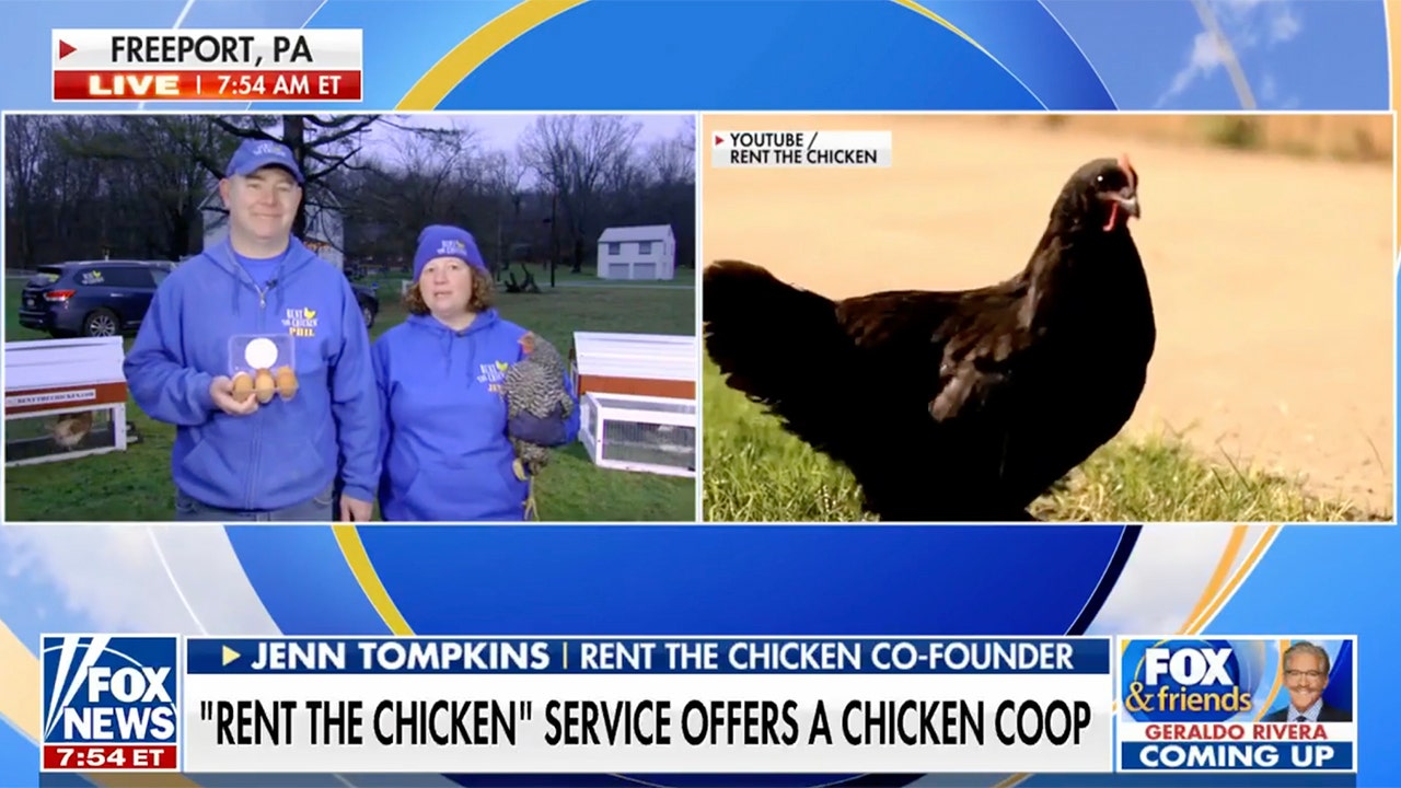 Pennsylvania couple starts ‘Rent the Chicken’ business amid high egg prices in stores