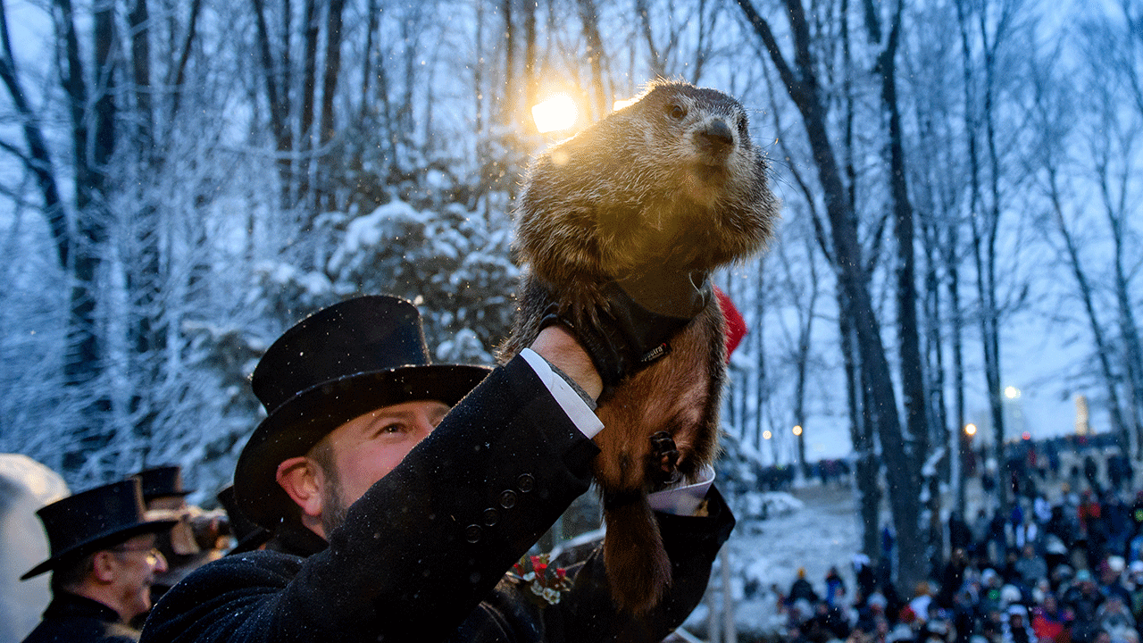 The history of Groundhog Day and how the superstitious tradition made
