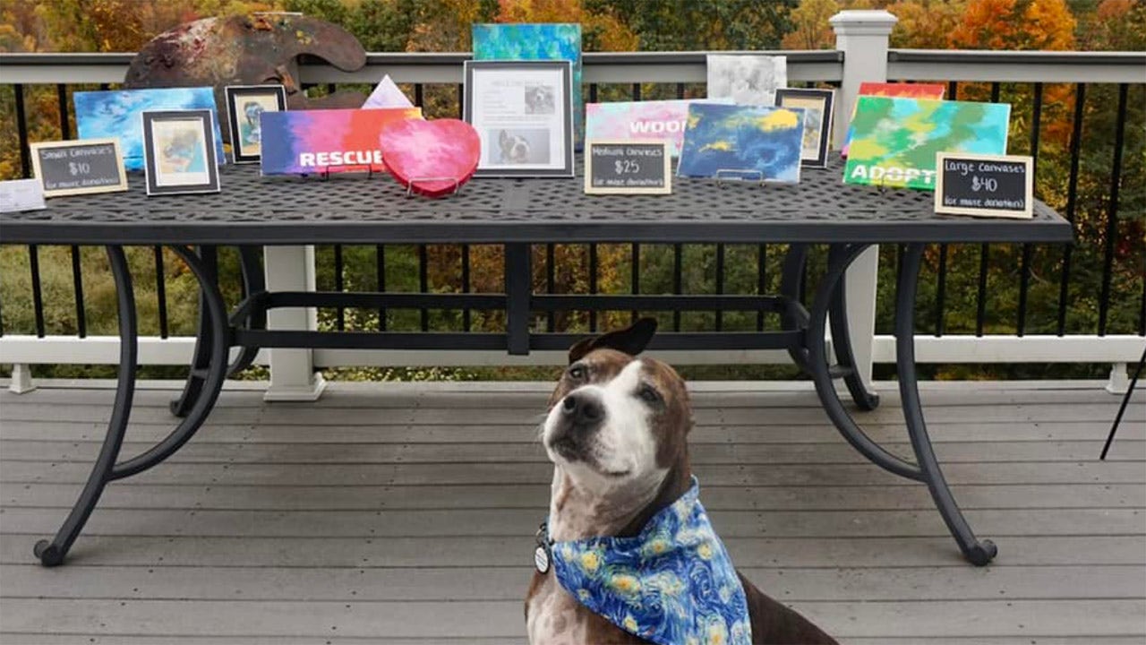 Van Gogh the dog poses in front of a gallery of his work arranged by Happily Furever After Rescue. (Happily Furever After Rescue)