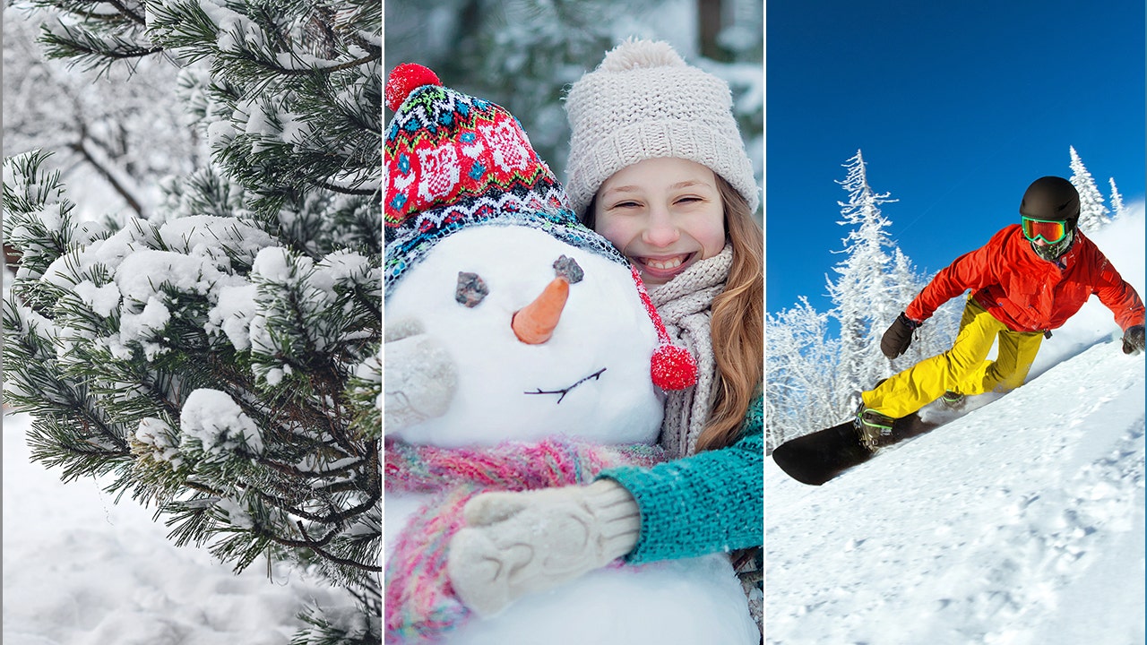 Winter quiz! How well do you know these fun facts about the coldest season?