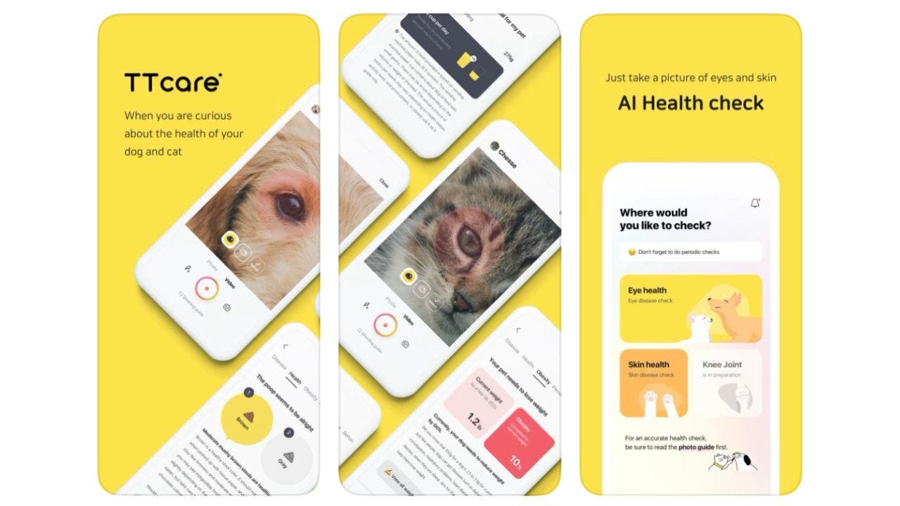 Pet well being breakthrough app can detect when your canine or cat is sick