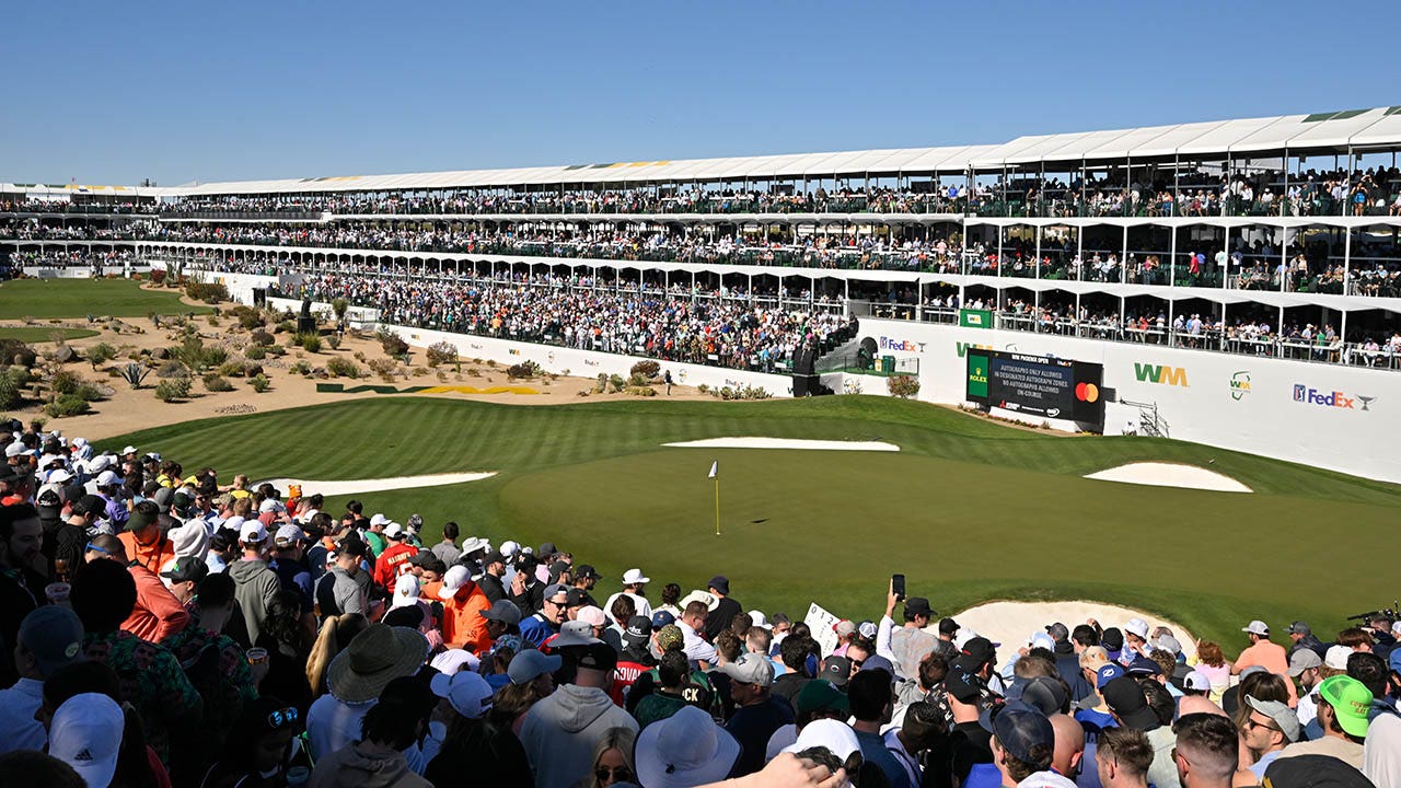 Streaker steals the show at 16th hole of Waste Management Phoenix Open