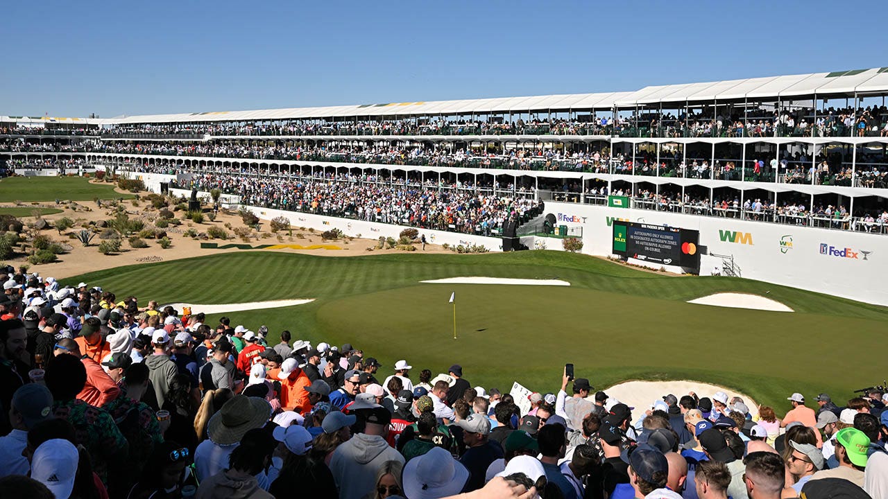 Streaker at the Waste Management Phoenix Open