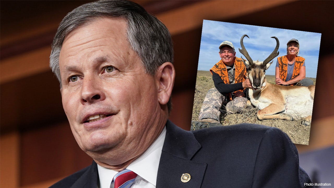 Members of Congress troll social media with hunting photos after Sen. Daines was put in ‘Twitter jail’