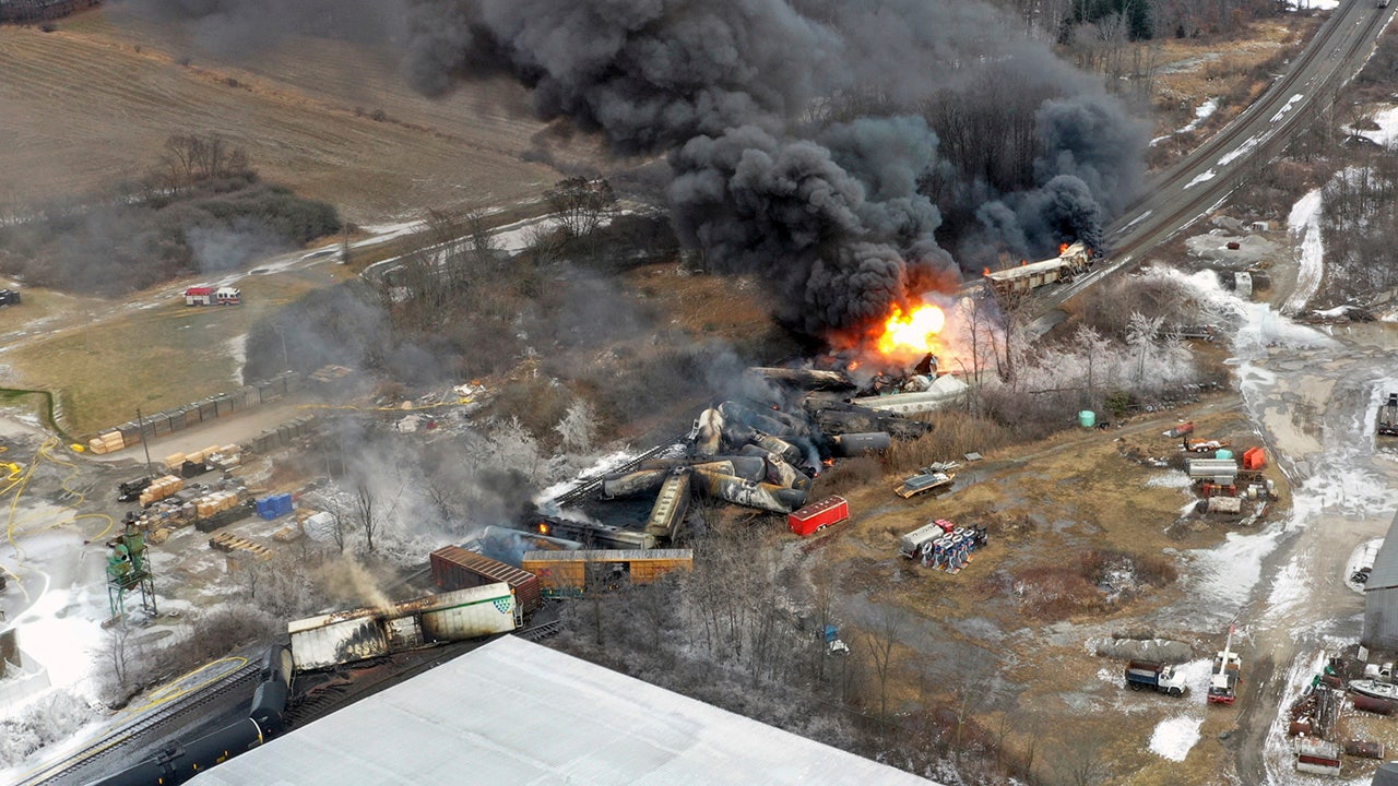 Ohio residents fear train derailment poisoned air, ground, report animals  dying | Fox News