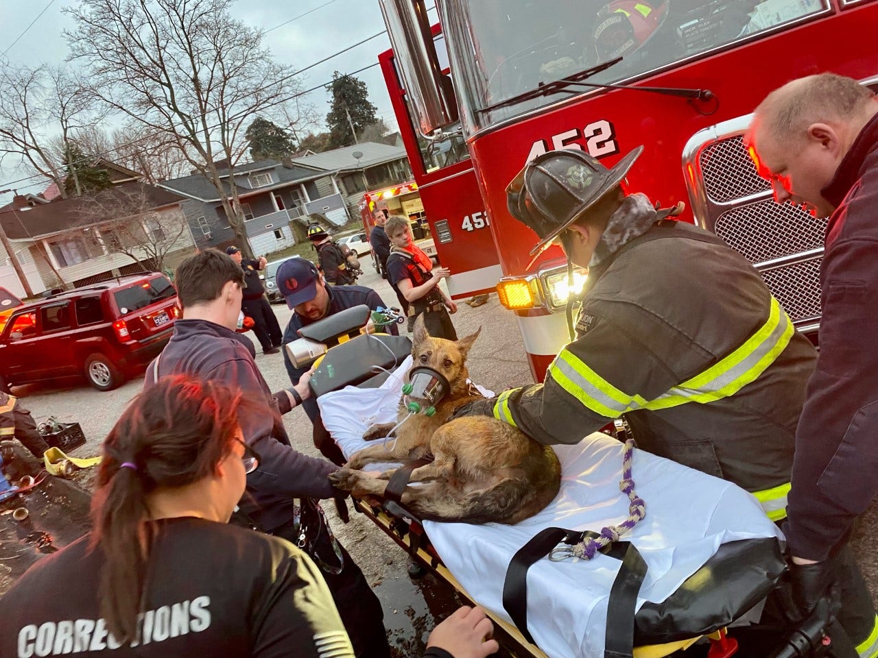 West Virginia firefighters resuscitate dog found not breathing at scene of fire