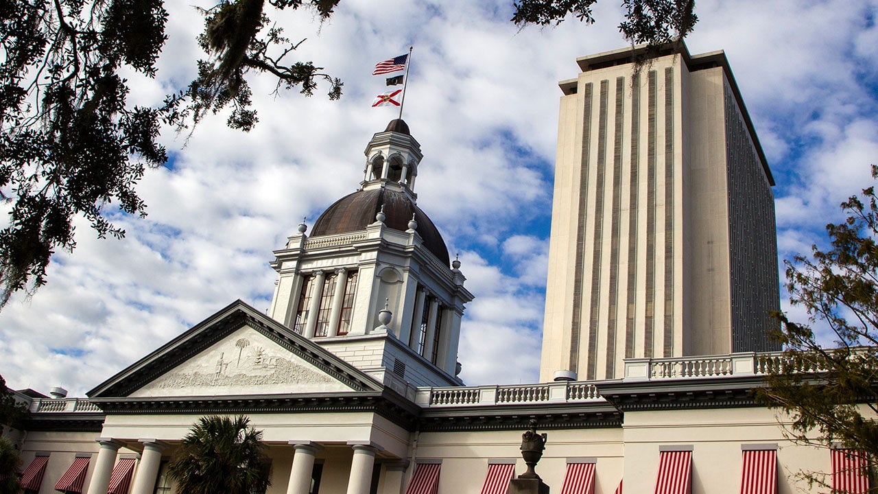 Florida legislature passes six-week ‘heartbeat bill’ to limit abortion