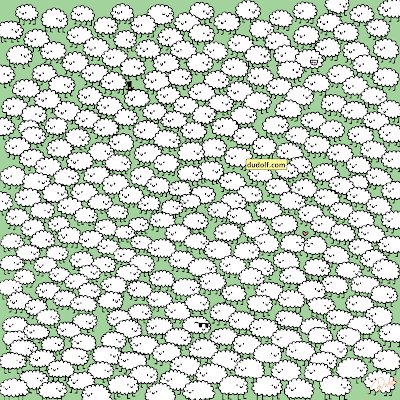 Brain teaser: Can you find 3 white clouds hidden in a flock of