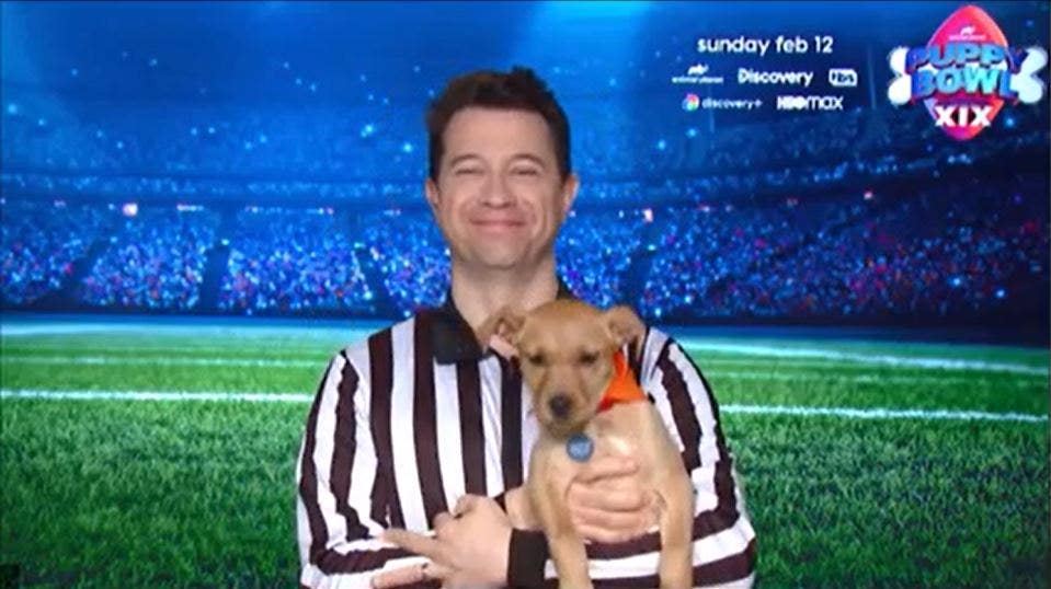 Puppy Bowl returning for 19th year on Super Bowl 2023 What to know