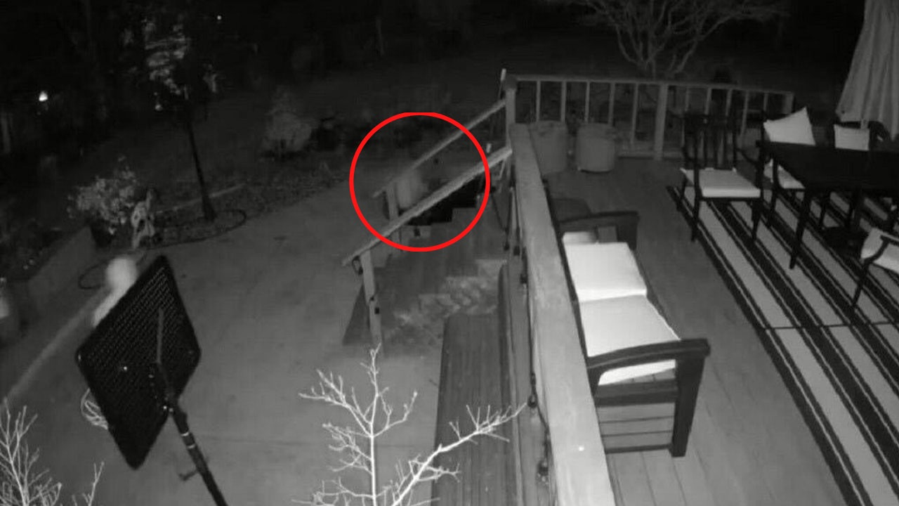 California burglar falls into small pond before burglarizing home, ringing doorbell on way out