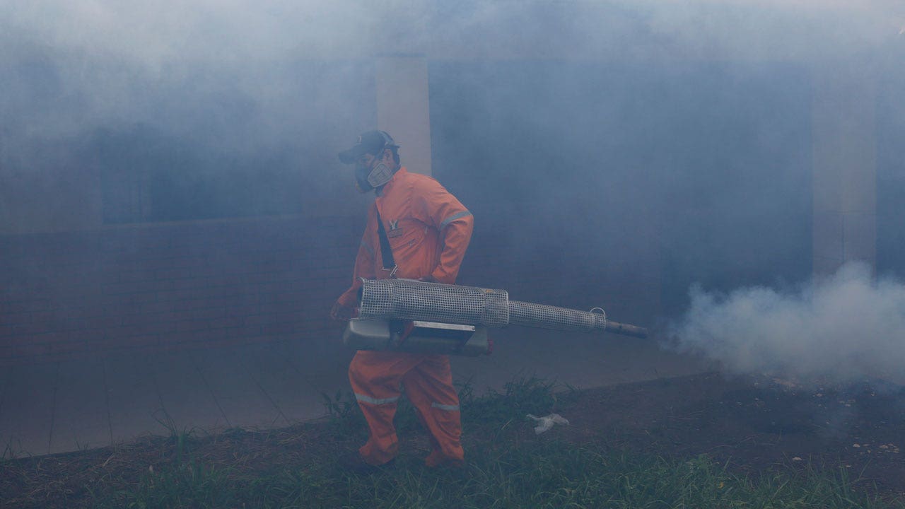 Bolivian hospitals struggle as dengue outbreak kills dozens