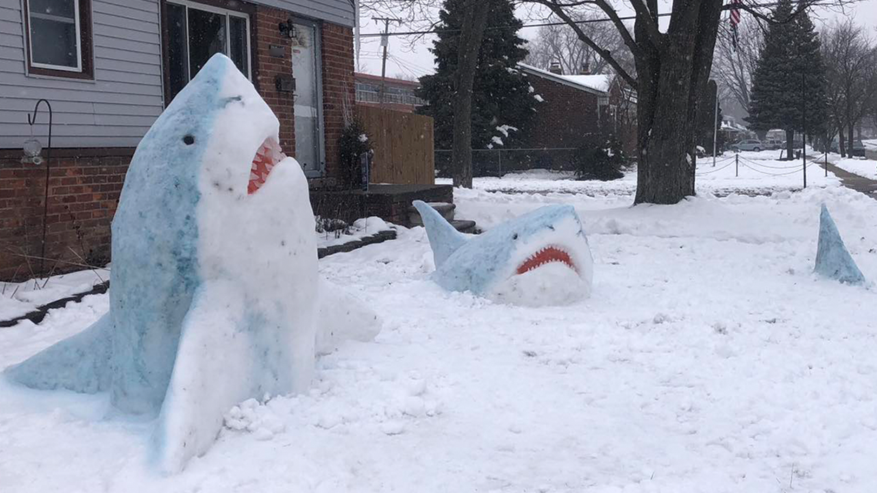 Michigan art teacher's shark snow sculptures grab Gov. Whitmer's attention:  'Fin-tastic' | Fox News