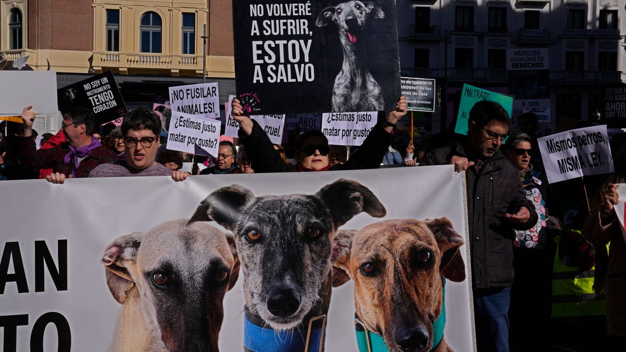 Animal rights groups march in protests to urge more protection for hunting dogs