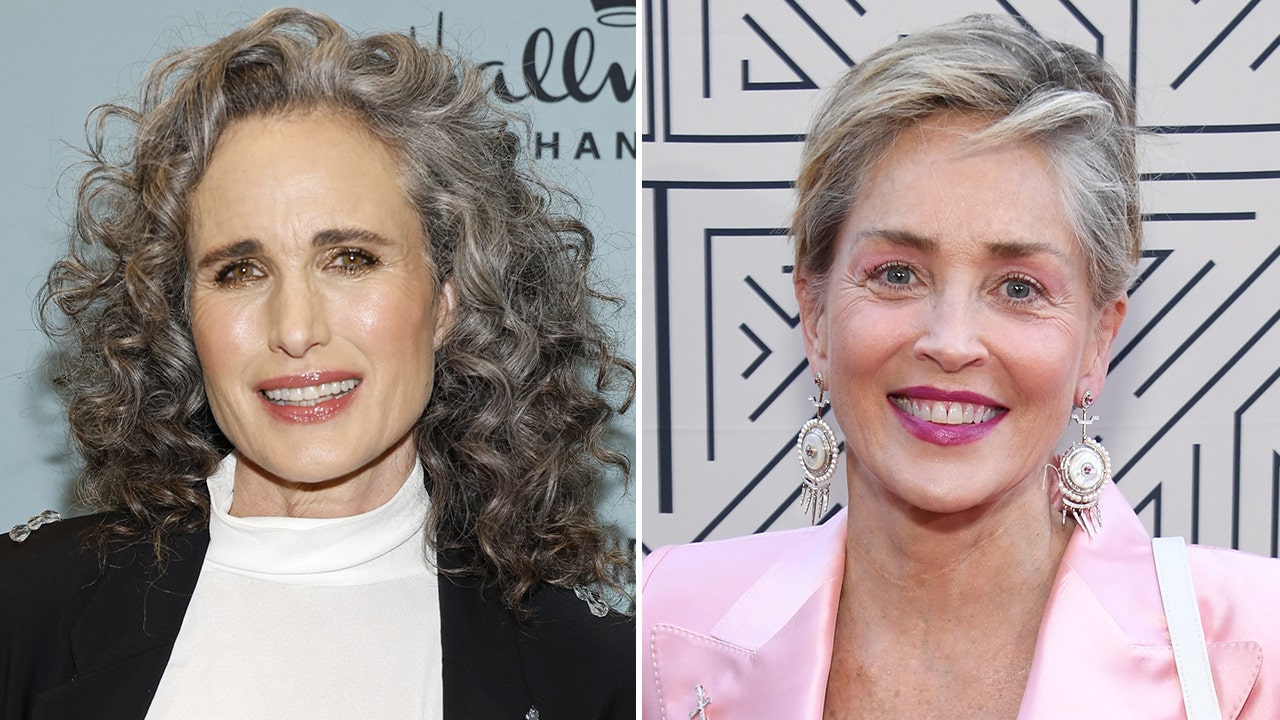 Andie MacDowell reveals dating insight she got from Sharon Stone, what a man said to make her ‘give up’ dating
