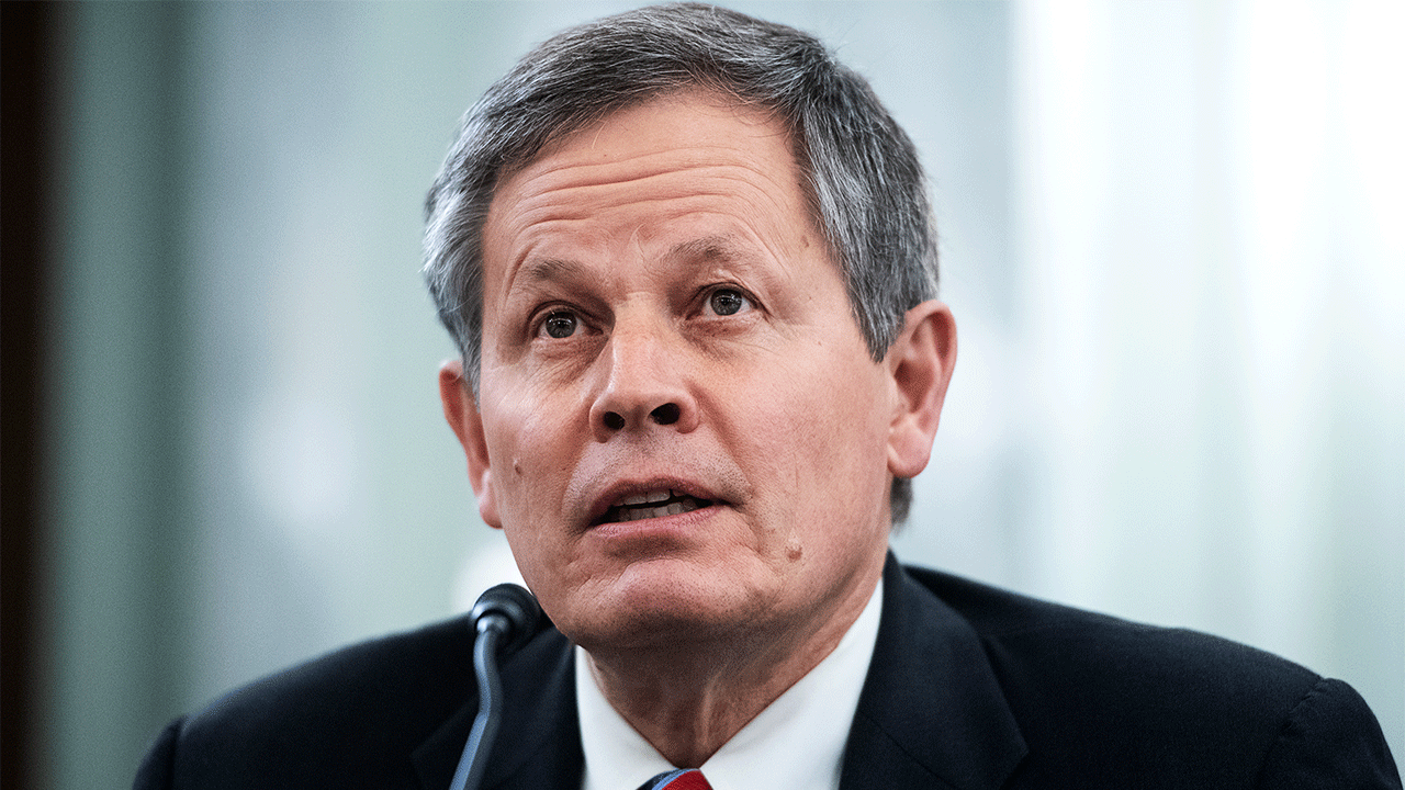 Sen. Steve Daines, R-Mont., warned that Biden administration regulations would effectively ban the vast majority of gas stoves. 