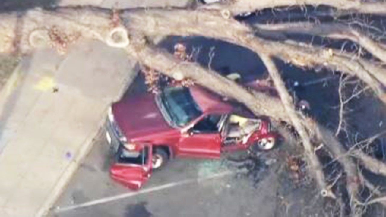Falling tree kills woman in SUV at California park, police say