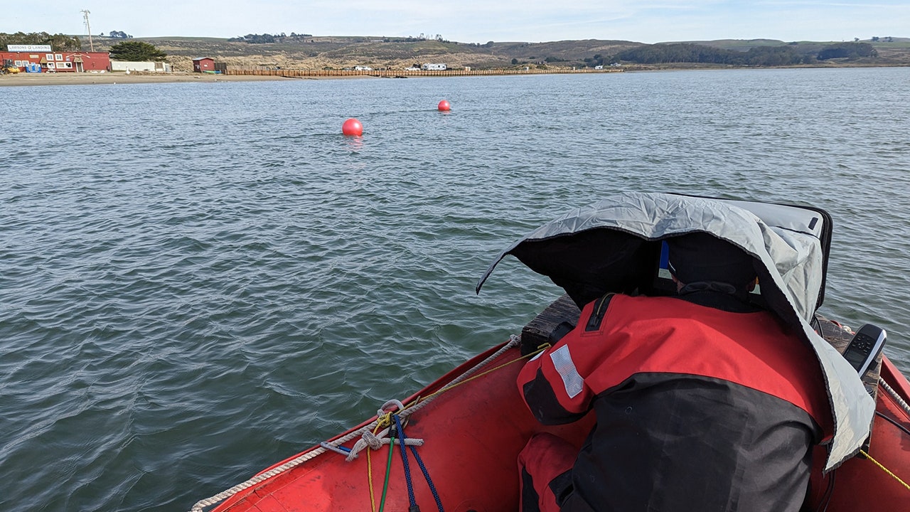 News :Missing kayaker found dead in California bay after going crabbing with friends, sheriff says