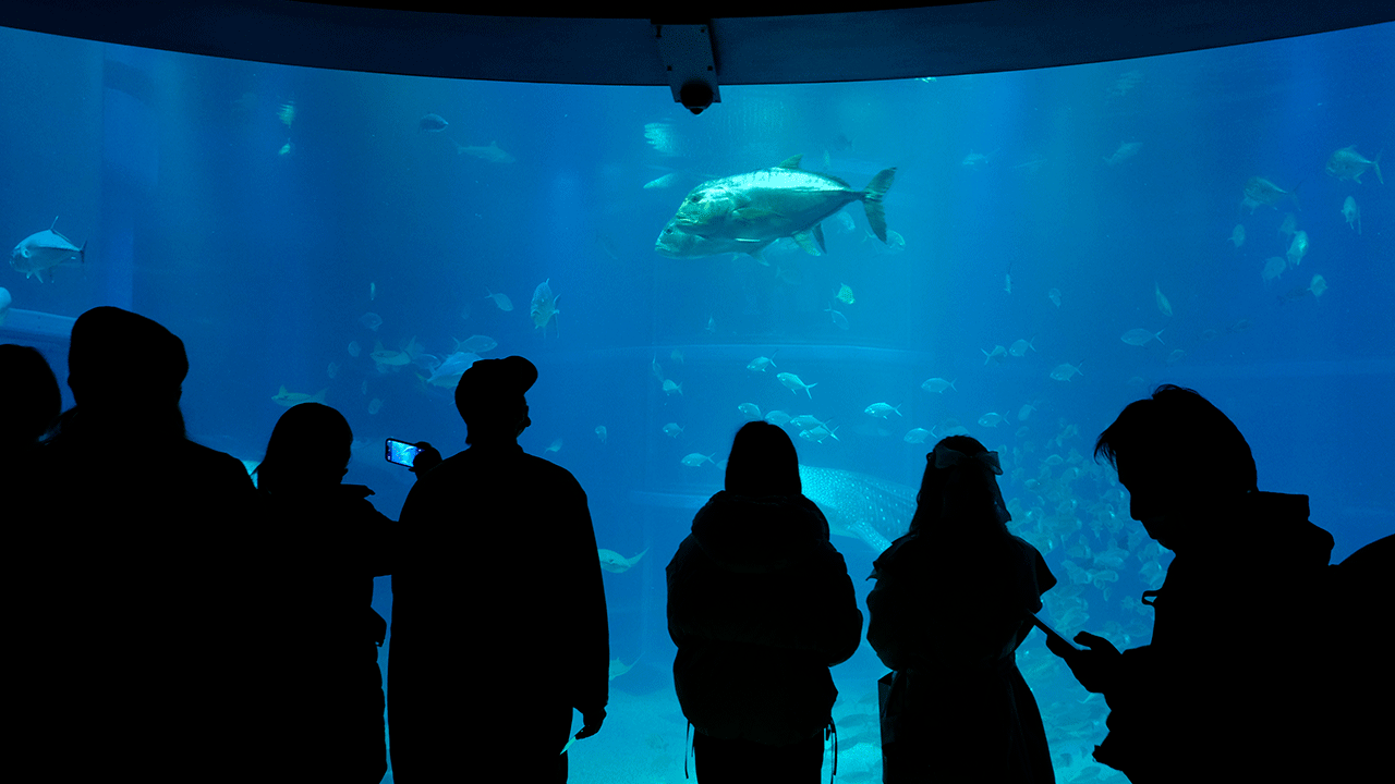 There are so many inexpensive but memorable activities to share with your partner on Valentine's Day, including checking out a local spot that you've never visited before.