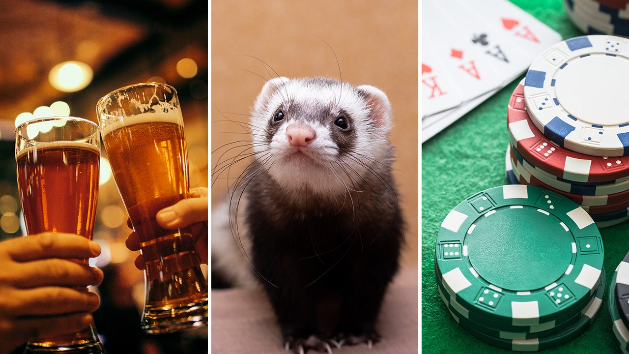 The U.S. has had its fair share of weird laws, including a law against drunkenness at the airport, a hunting ferret ban and a rule against no gambling at the airport. Check out these and more odd, surprising laws! (iStock)