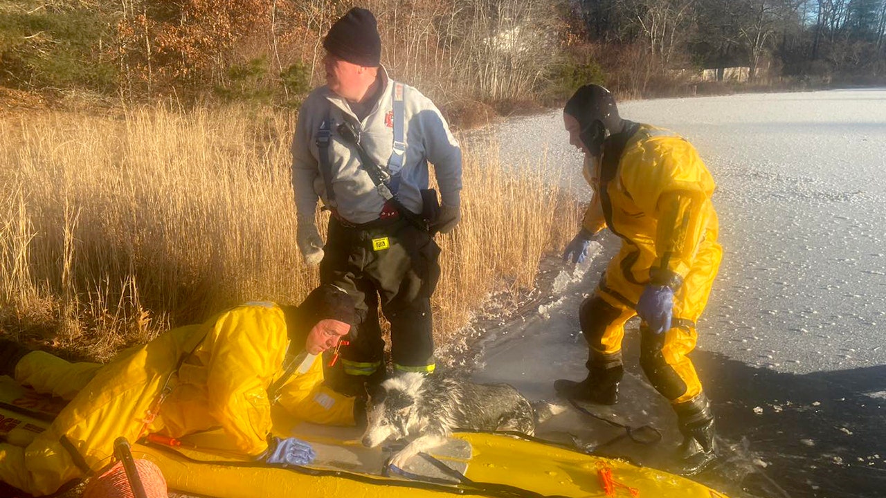 Firefighters rescue dog that was in frozen pond for 20 minutes