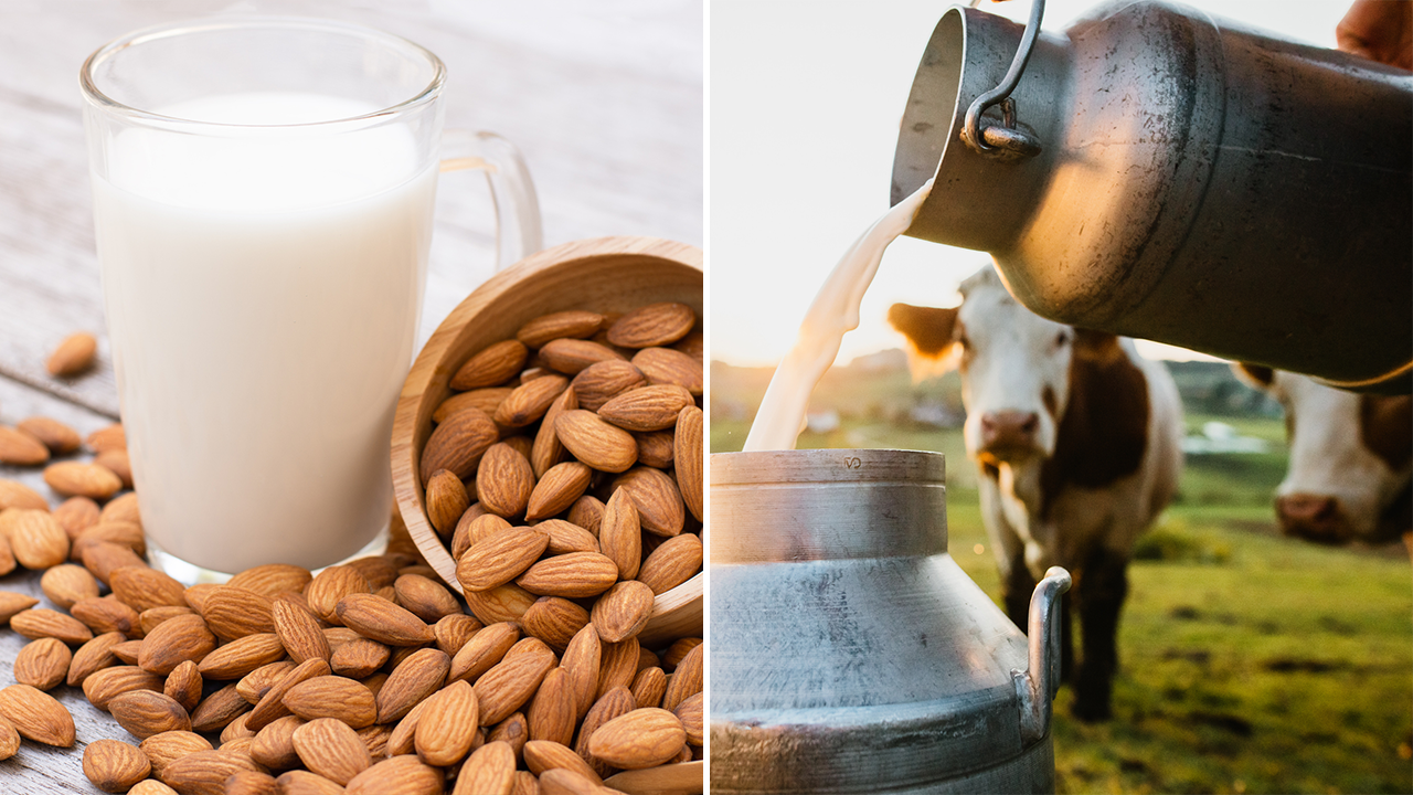 FDA proposes plant-based, dairy-free milk can be called 'milk' and asks for  public feedback