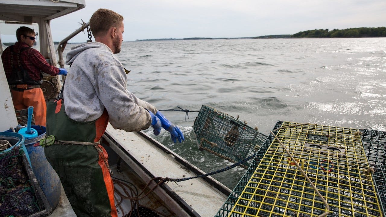 Blue-collar lobstermen sue environmental group for defamation: ‘The harm is intentional’