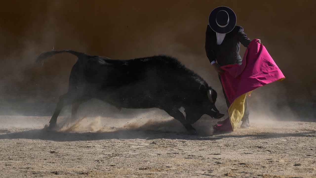 Colombia set to vote on bullfighting ban in the coming weeks