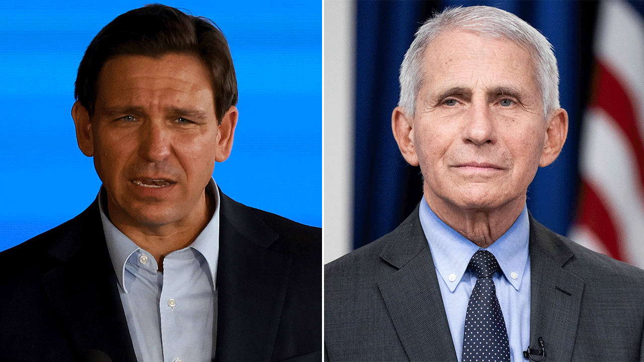 DeSantis and Fauci