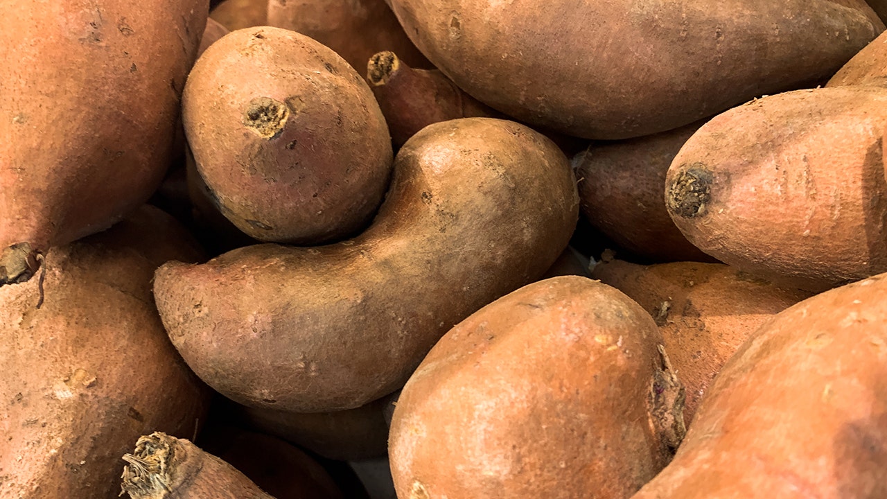 News :Sweet potato reportedly helps Massachusetts police crack 2011 Todd Lampley murder cold case