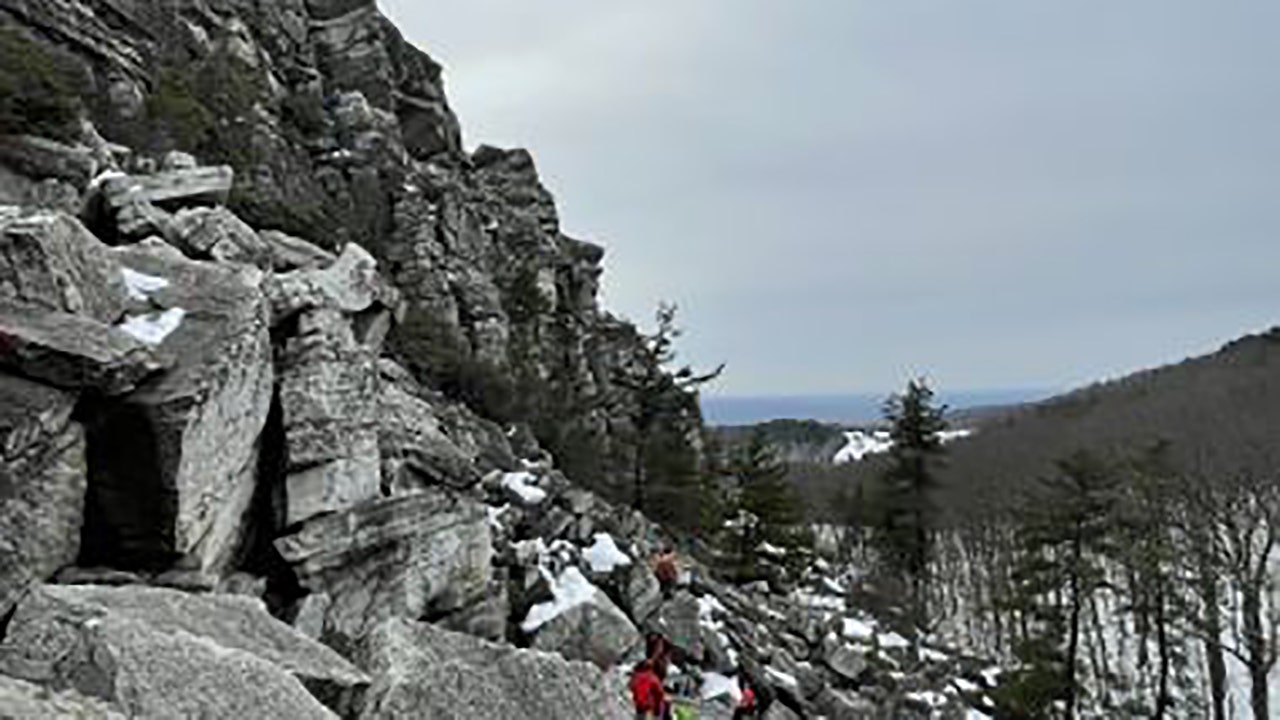 Mohonk search 1